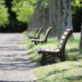 その他Vol.7 生命保険商品への驚き、再認識 (1)