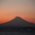 相続・事業承継Vol.12 株式の機能③ ~株式の併合と株式等売渡請求制度~