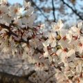 その他Vol.14 減価償却費と特例 ~少額資産の取り扱い~